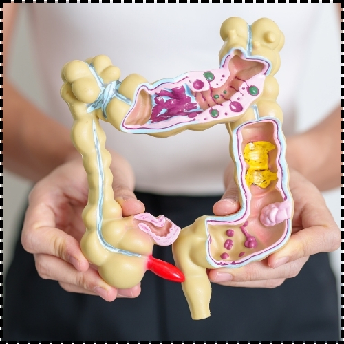 Impact of stress on gut health - Healix Hospitals