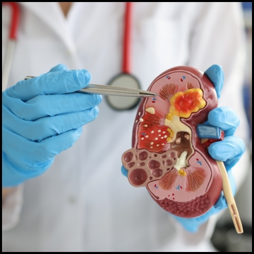 Reading & Interpreting Your Liver Function Test: Healix Hospitals